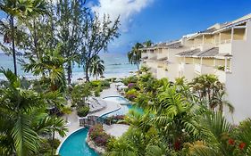 Bougainvillea Barbados